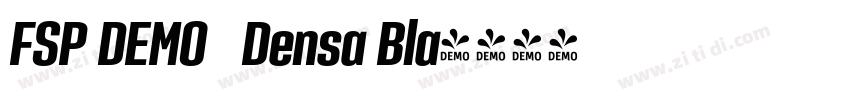 FSP DEMO   Densa Bla字体转换